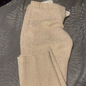 Never Worn Express Dress Pants Size 8R